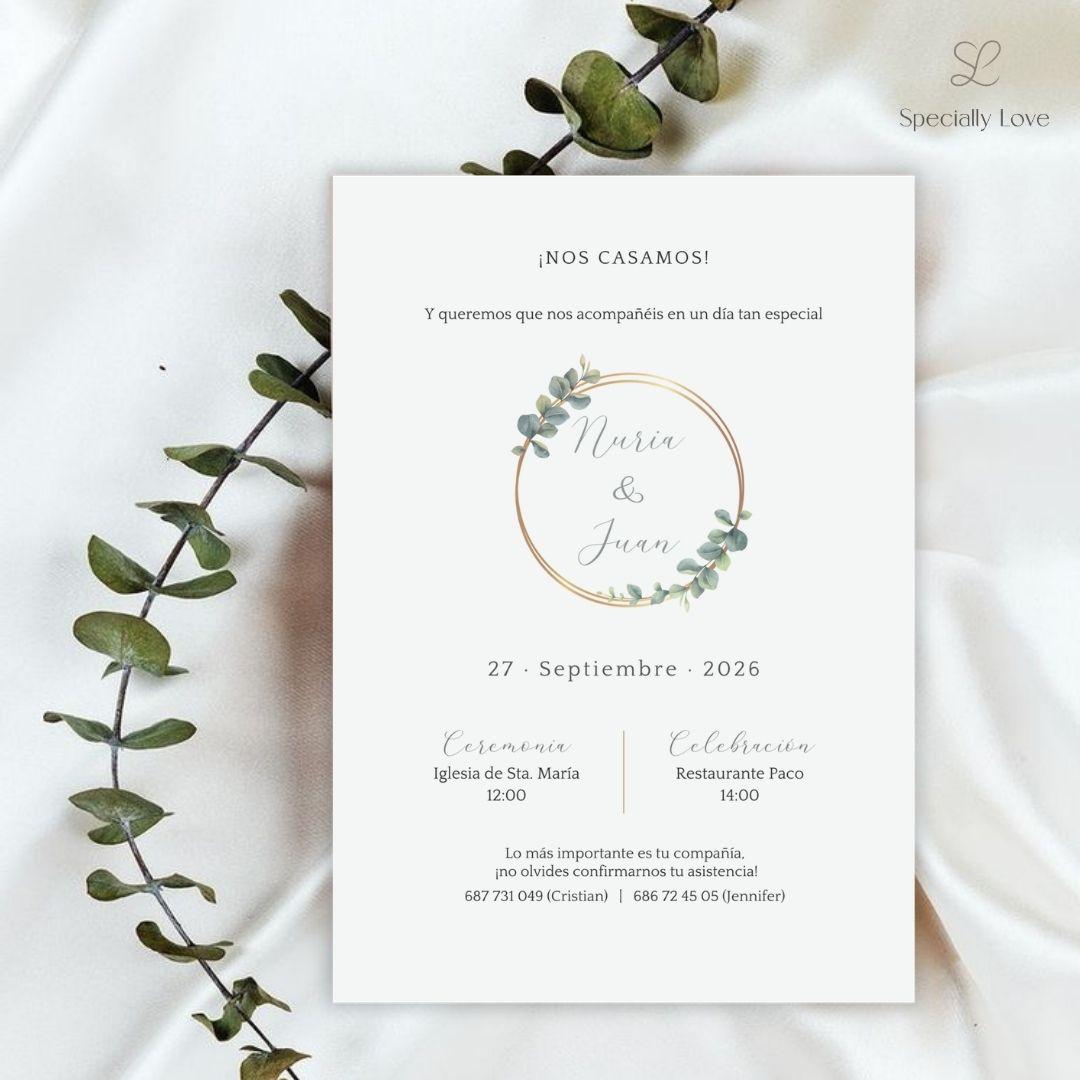 classic olive version 1