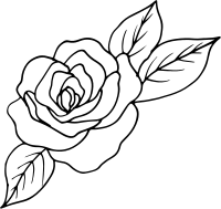 fw